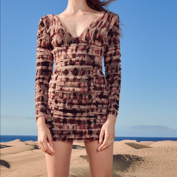 Zara Ruched Tulle Dress - Picture 1 of 4